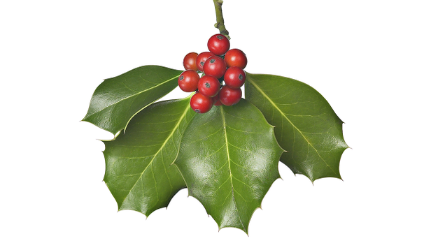 Illustration for article titled 8 DIY Christmas Decorations You Can Print Out At Home
